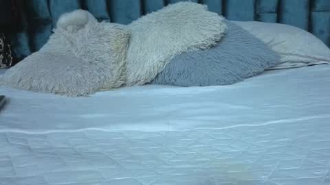 Emma online show from March 2026 07:17:02 PM