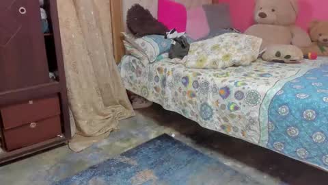 whises lits        online show from February 2025 12:48:01 PM