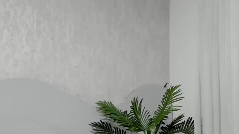 Emma Morgann online show from February 2026 11:20:02 AM