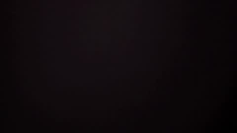     online show from February 2025 10:02:01 AM