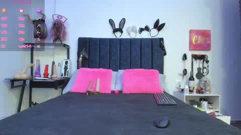          online show from February 2025 11:55:02 AM