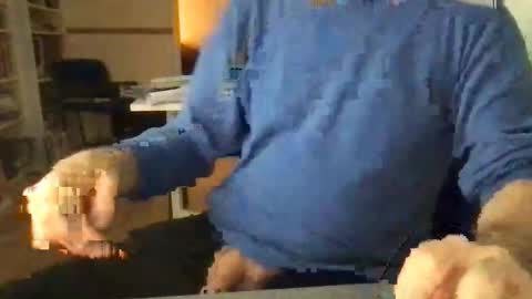 Snapshot of englefield chatting on December 2024 07:46:01 AM englefield online show from December 2024 07:46:01 AM