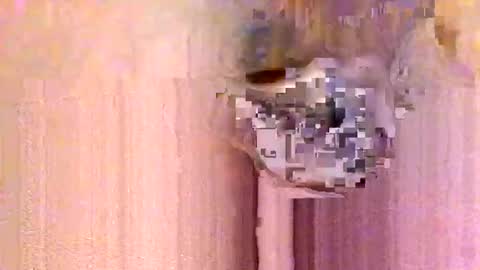 Snapshot of erick912 chatting on January 2026 12:54:02 PM take it easy online show from January 2026 12:54:02 PM