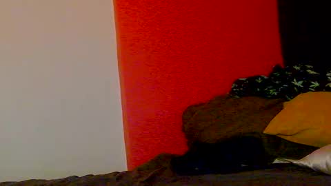 Nikki Erotica online show from February 2026 10:16:02 AM