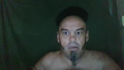 Essensual Elf online show from September 2025 09:58:02 PM