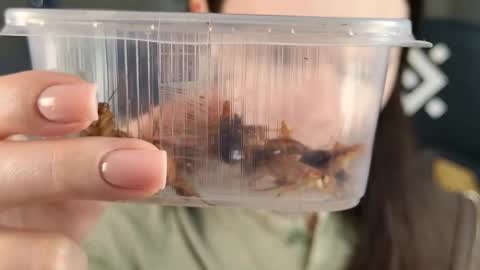 kelt0901 - my channel in telegra online show from February 2026 02:07:01 PM