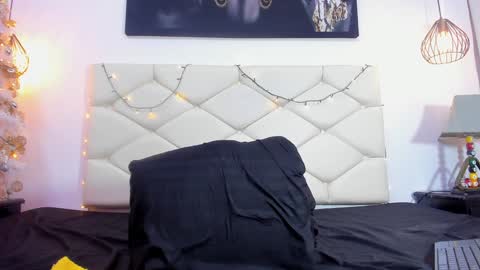 Snapshot of ethan_helmut chatting on January 2025 02:11:01 PM ethan helmut online show from January 2025 02:11:01 PM