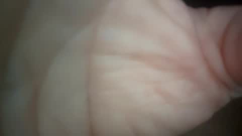 Snapshot of ethereumumm chatting on October 2025 02:18:01 PM ethereumumm online show from October 2025 02:18:01 PM