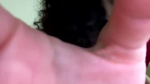 eulilah222 online show from September 2025 03:41:02 AM