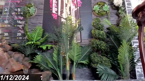 Snapshot of eva_coluccy chatting on December 2024 04:21:02 PM EVA COLUCCY online show from December 2024 04:21:02 PM