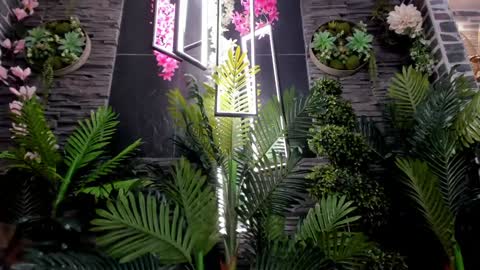 Snapshot of eva_coluccy chatting on January 2025 03:44:01 PM EVA COLUCCY online show from January 2025 03:44:01 PM