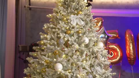 Eva online show from December 2024 06:50:02 PM