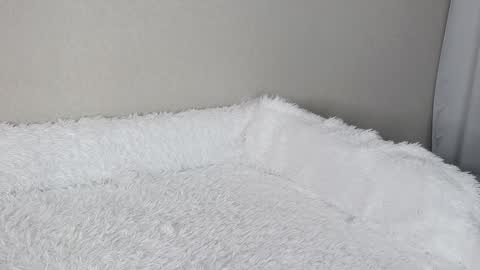 Snapshot of eva_varnerr chatting on February 2025 01:19:01 PM eva varnerr online show from February 2025 01:19:01 PM