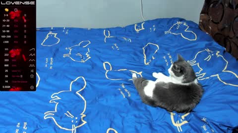 Eva online show from January 2025 01:03:01 PM