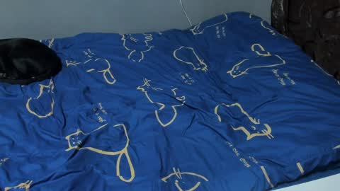 Eva online show from February 2025 03:20:02 PM