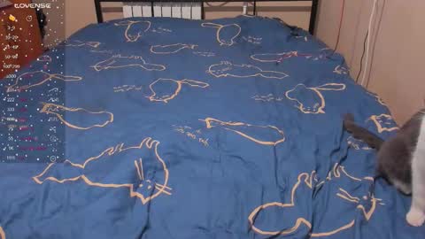 Eva online show from January 2026 03:06:02 PM