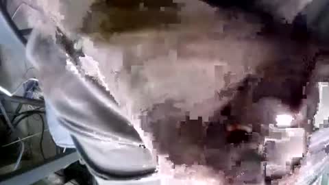 Snapshot of eveline_figeroa3 chatting on June 2026 10:31:02 AM eveline_figeroa3 online show from June 2026 10:31:02 AM