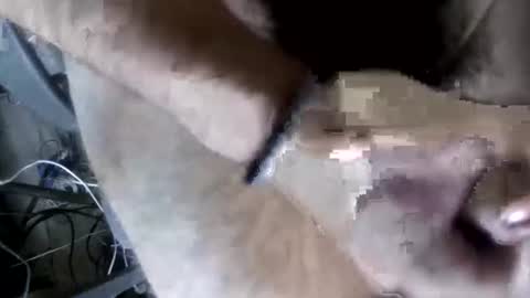 Snapshot of eveline_figeroa3 chatting on June 2026 01:21:01 AM eveline_figeroa3 online show from June 2026 01:21:01 AM