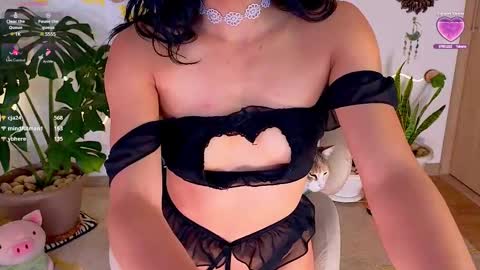 Snapshot of evelyn_chelle chatting on March 2025 01:06:01 AM Im Eve or Chelle Next Stream 191224 online show from March 2025 01:06:01 AM