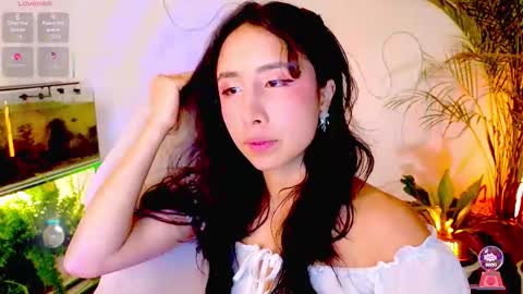 Im Eve or Chelle Next Stream 191224  online show from February 2026 11:39:02 PM