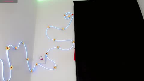 everlin_01 online show from May 2026 07:21:01 PM