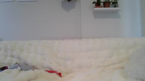 Snapshot of evillers1 chatting on July 2026 11:42:01 PM Badblondebunny online show from July 2026 11:42:01 PM