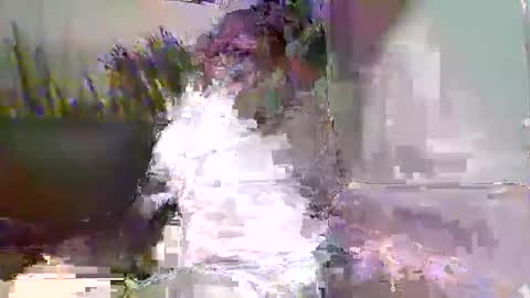 Naaktloper online show from February 2026 03:49:02 PM