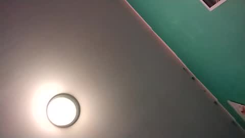 experttreecompany online show from February 2026 08:43:02 AM