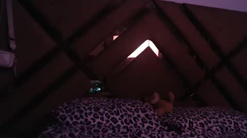 eyshaexotii online show from March 2026 12:14:01 AM