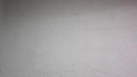 Snapshot of fabiar11 chatting on July 2026 12:17:01 AM R online show from July 2026 12:17:01 AM