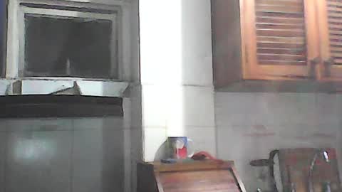 Snapshot of fabiar11 chatting on July 2026 11:33:01 PM R online show from July 2026 11:33:01 PM