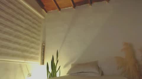 -  A N D E R online show from January 2025 12:28:01 AM