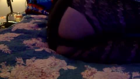 Snapshot of facedownassup219267 chatting on January 2025 11:23:02 AM facedownassup219267 online show from January 2025 11:23:02 AM