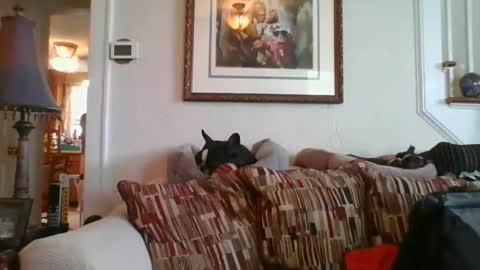 fairmount31 online show from February 2025 07:16:02 PM