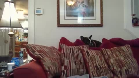 fairmount31 online show from November 2025 10:12:01 PM