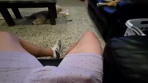 faker1414 online show from February 2026 02:10:02 AM