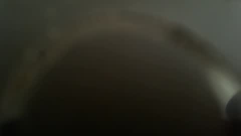 Snapshot of falushp chatting on February 2025 11:52:01 AM falushp online show from February 2025 11:52:01 AM