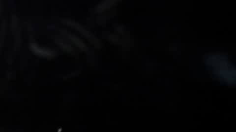 Snapshot of fantasticcouplepj chatting on January 2025 04:20:01 AM -MaddieRedHead- online show from January 2025 04:20:01 AM