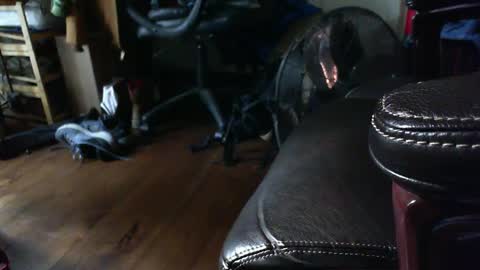 Shawn online show from September 2025 01:33:01 PM