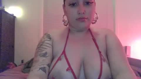 fatleechesxoxo online show from January 2025 05:16:02 AM