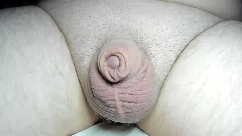 Fatmanscock online show from December 2024 04:04:01 AM