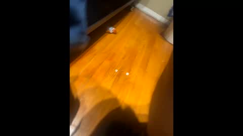 Snapshot of fatz71056 chatting on October 2025 10:16:02 AM fatz71056 online show from October 2025 10:16:02 AM