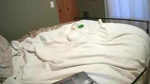 Snapshot of feelingsexy10 chatting on October 2025 12:16:01 PM feelingsexy10 online show from October 2025 12:16:01 PM