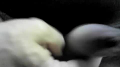 Snapshot of felicaste chatting on September 2025 10:33:01 PM felicaste online show from September 2025 10:33:01 PM