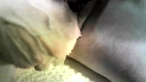 Snapshot of felicaste chatting on October 2025 12:41:02 AM felicaste online show from October 2025 12:41:02 AM