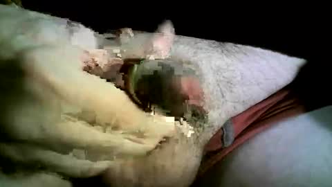 Snapshot of felicaste chatting on November 2025 08:43:01 PM felicaste online show from November 2025 08:43:01 PM