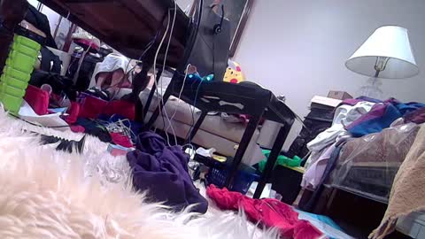 felicitybliss29 online show from February 2025 03:47:02 AM