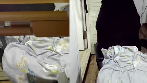 felixlau online show from February 2025 01:10:02 PM