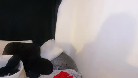 this is justice tricia a bigelow. she was fucking my husband tom girardi online show from November 2025 09:00:02 AM