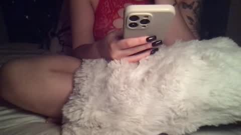     online show from November 2025 03:49:01 AM